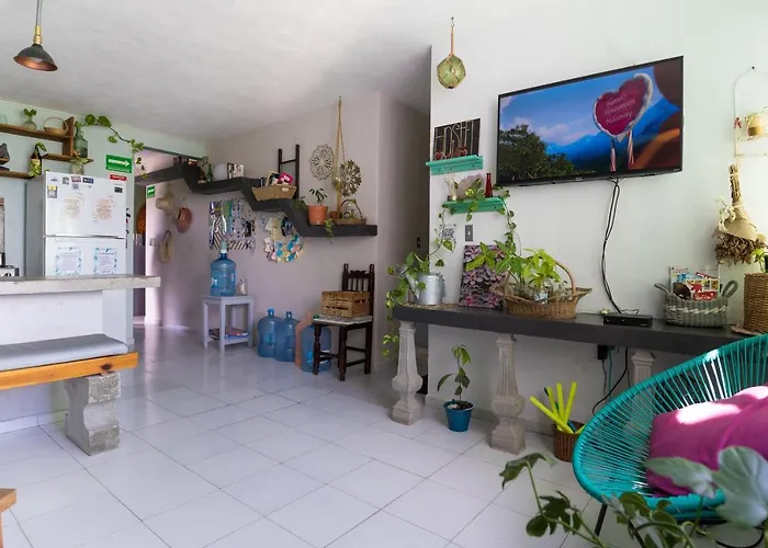 Hostel Cuca Macuca *